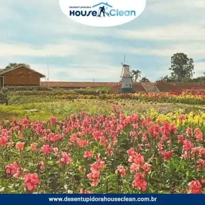 Desentupidora em Holambra - SP