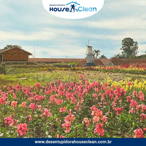 Desentupidora em Holambra - SP