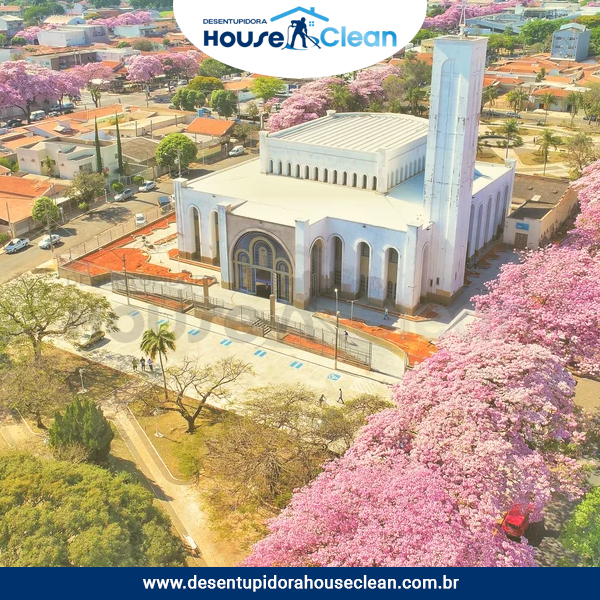 Desentupidora em Paulínia - SP