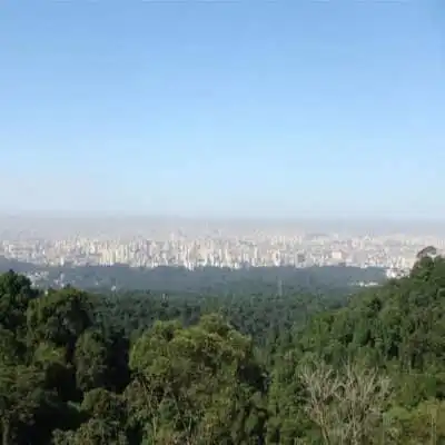 Desentupidora no Jardim Cantareira
