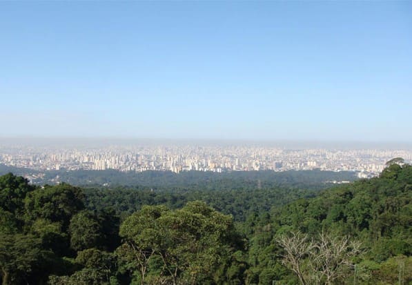 Desentupidora no Jardim Cantareira