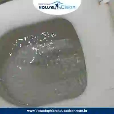Desentupidora de Vaso Sanitário - 1