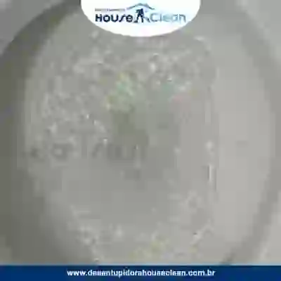 Desentupidora de Vaso Sanitário - 2