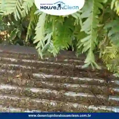 Serviço de Desentupimento de Calhas - 3