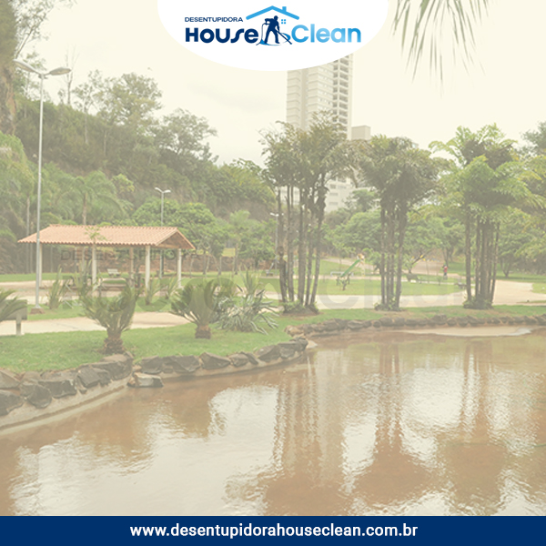 Desentupidora no Jardim Chapadão, Campinas