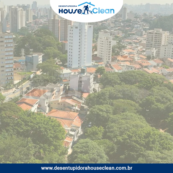 Desentupidora no Jardim Primavera, Campinas