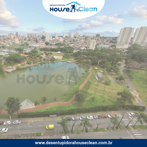 Desentupidora no Jardim Tupanci, Barueri